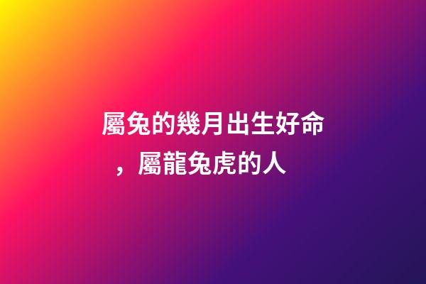 屬兔的幾月出生好命，屬龍兔虎的人-第1張-觀點-玄機派